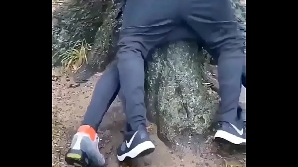 Two brothers take turns fucking their class mate in the park